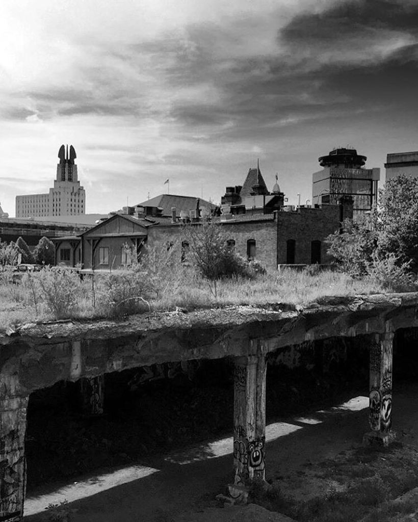 This Is Rochester! tweet media