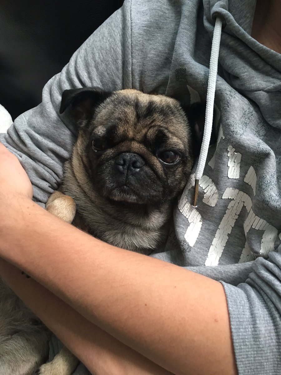 Besser als ein Fernsehsessel😜