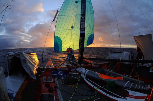 CLK POLO tweet media