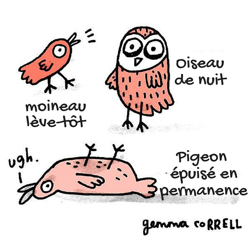 blablacademique's tweet photo. Lorsquil est question de rédaction, quel type d'oiseau êtes-vous?
#ÀVosPlumes #PhDimanche
Inspiré par @gemmacorrell https://t.co/5z5Y0w8YLI