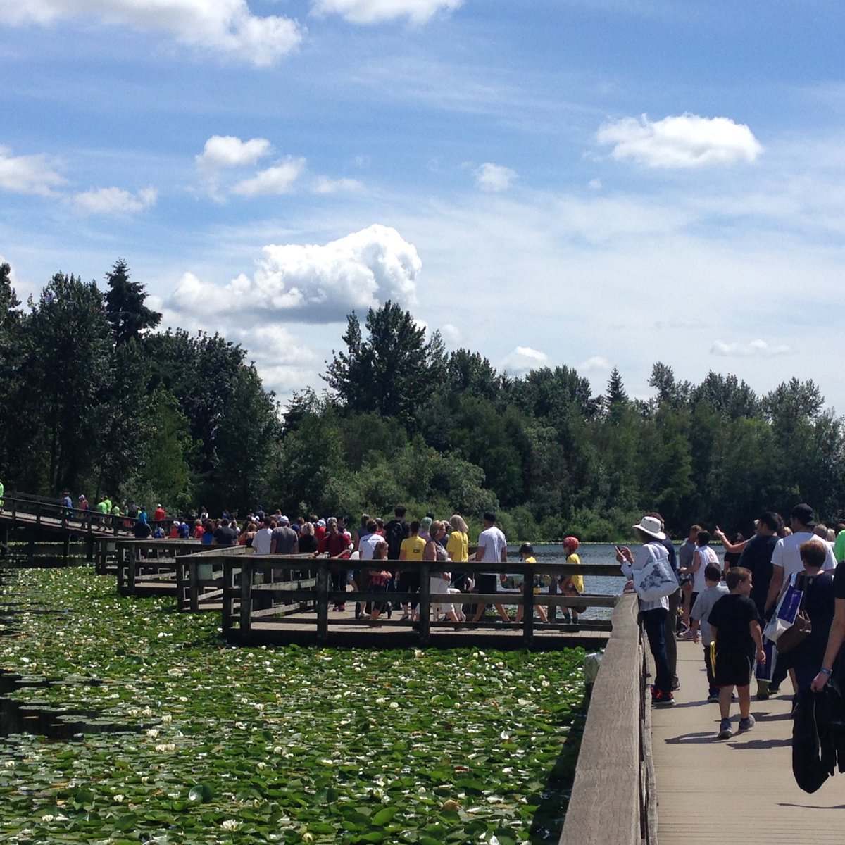 creativesidesca's tweet photo. A gorgeous day in Abbotsford for the #TELUSWalk supporting @JDRF_BC. #iamthetype Go Team Keira!!! https://t.co/cmH7OVdGlk