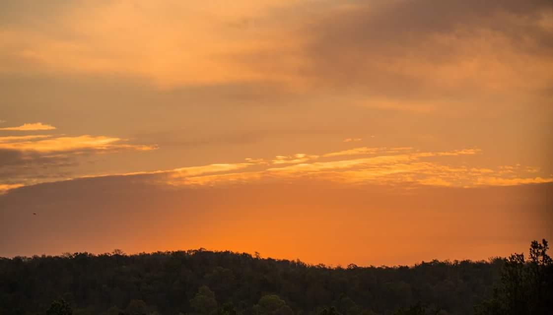 VividSafaris's tweet photo. Beautiful #Landscape #Photography in #Kanha #Tiger Reserve.... Photo credits @VividLifeArt https://t.co/dKRPlGAWiK