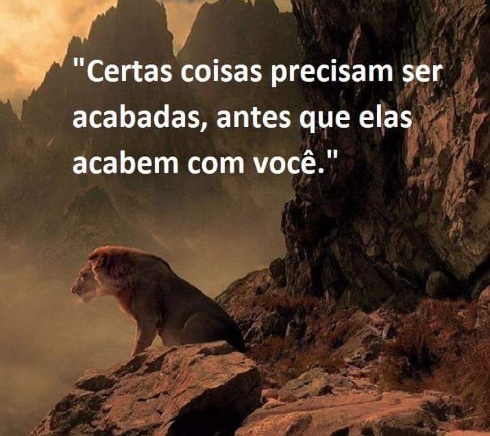 #OperacaoBetaLab #missaobeta #BETA_OFICIAL #sigodevolta #betaajudabeta #betalab #RT #timlab #TimBeta #SDV #tim #beta