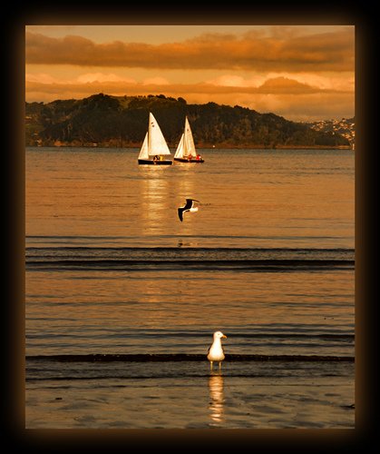 Happy Sunday Everyone !!!
Hope you are enjoying yours