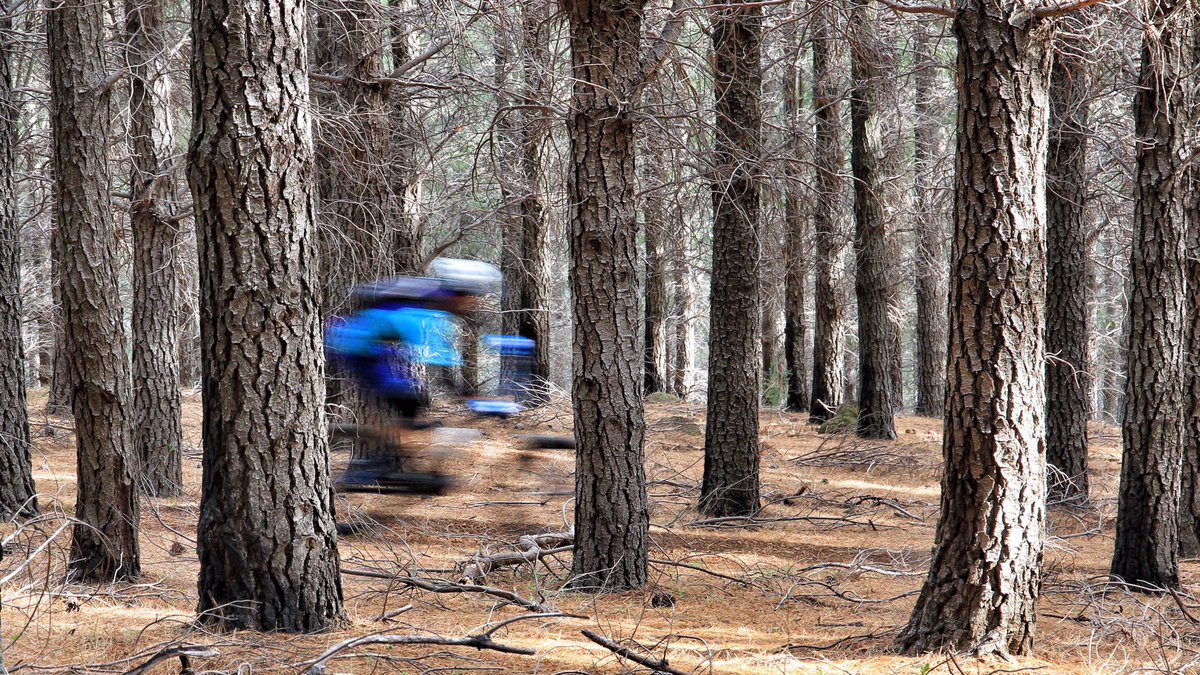 cheryjen's tweet photo. Lots of fast action today @Dirtopia #enduro #welvanpas. Thanks for the lifts! https://t.co/VxzJkEDWAv