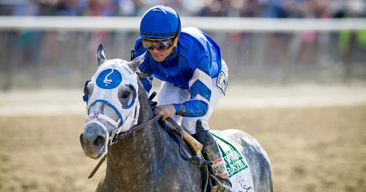 ScSouthernGal's tweet image. Watch Frosted win the #MetMile at Belmont! #WinAndYoureIn #Entry - sot.ag/57Sny
