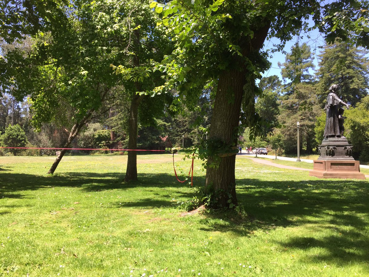 Sf slackline tweet media