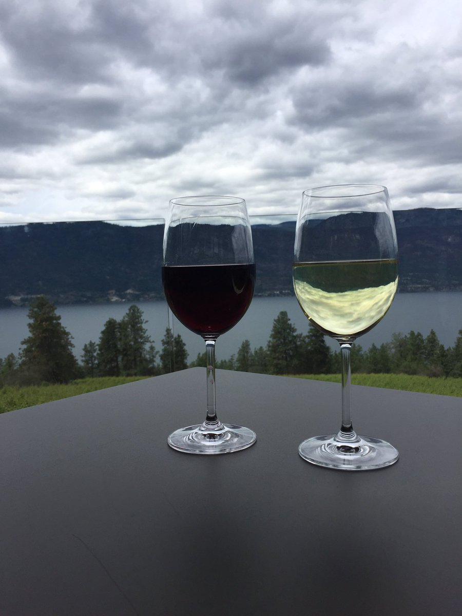 PedalsPups's tweet photo. @ArrowleafWine @Tourism_Kelowna What a way to relax in the Okanagan on a Sunday. #relax https://t.co/zZyVVGElfb
