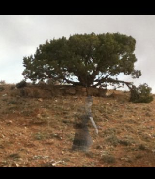 Ghost_Capture's tweet image. Here's one of the top rated #Ghost Captures