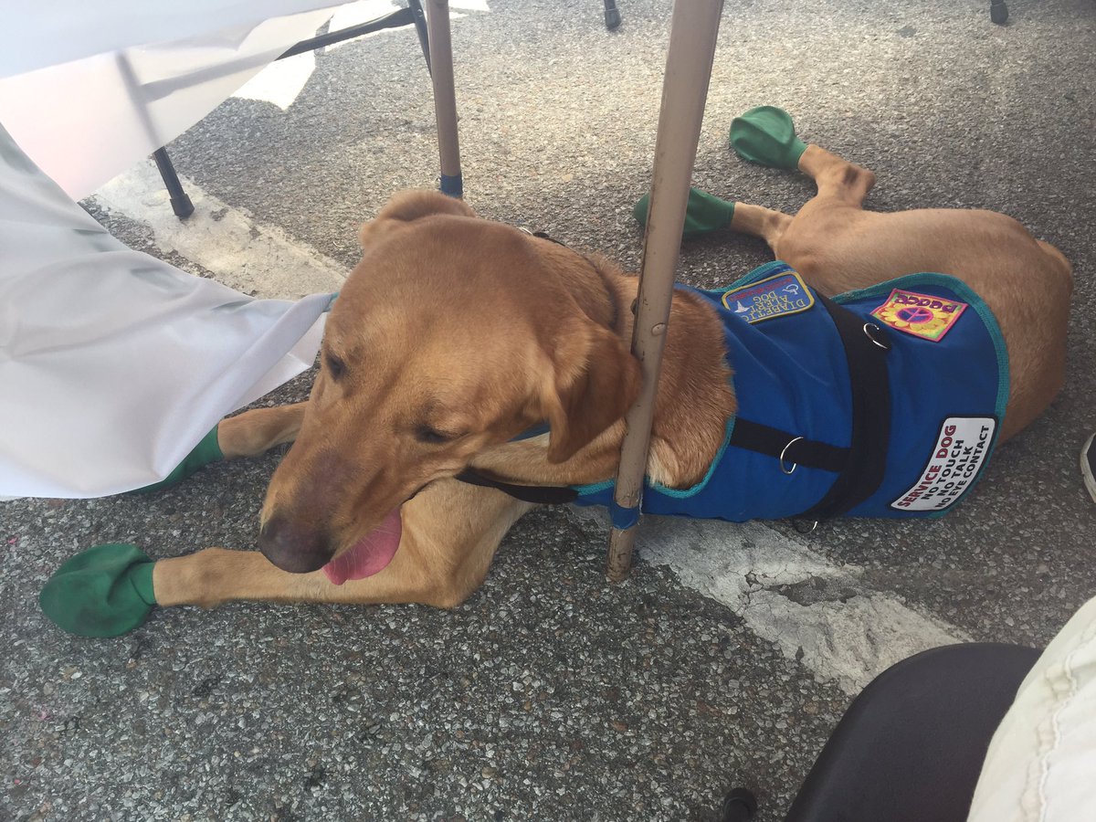 emurray1's tweet photo. Hanging with @TeamLeoDAD At the #SummerArtsFestival. He is taking a cooling break at the @WOWT6News tent. https://t.co/t3j3teFjAV
