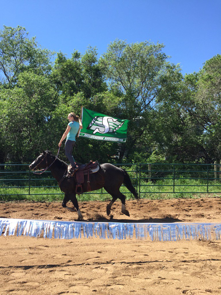 jasonauctioneer's tweet photo. Calamity cow girls are training for the shows. @PremierBradWall #sask #roughriders #trickriders https://t.co/Ci6QovuYfX