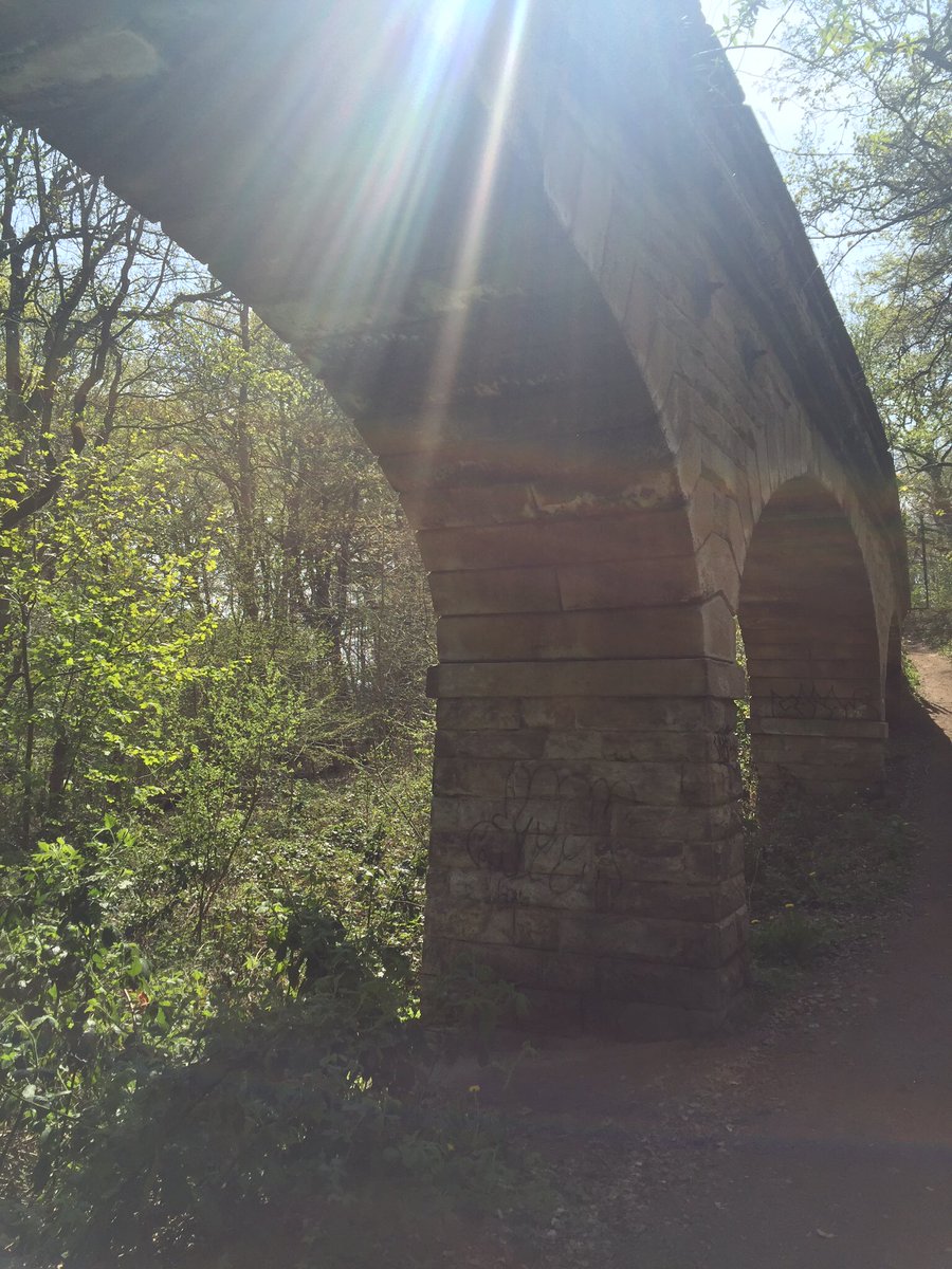 IAmBenRobertson's tweet photo. @beckettsteps All that walking & running around Meanwood and a few games of squash #BeckettSteps https://t.co/ZPRR4wLAYA