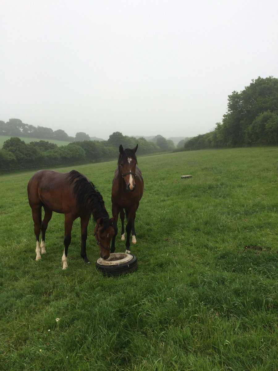 ConorCNorris's tweet photo. Where's the sun @ June? #granham https://t.co/4IzawBt0nF