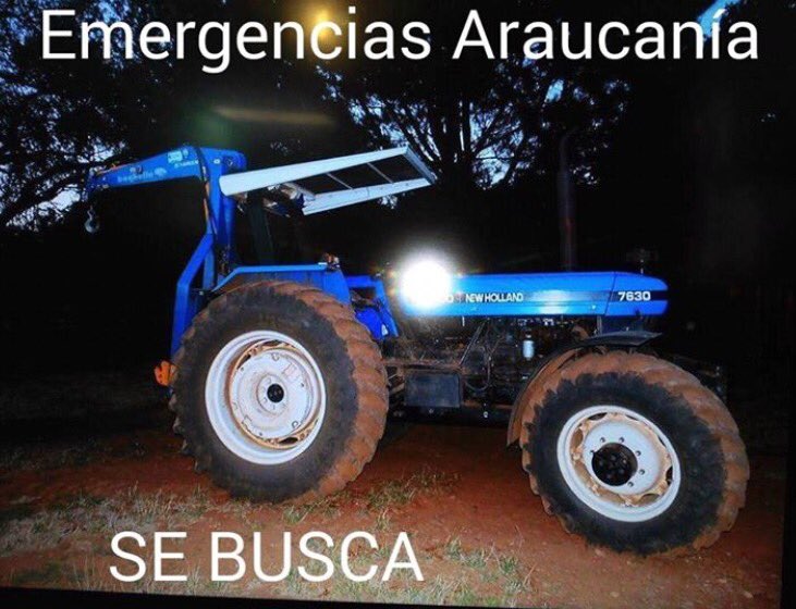 Alma Palacios 🐝 tweet media