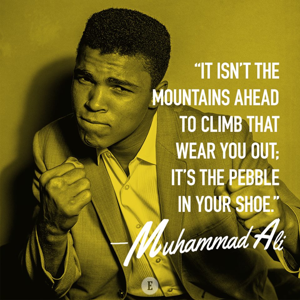 trafficmerchant's tweet photo. What is the pebble in your shoe of success? https://t.co/7oheRJ43SG