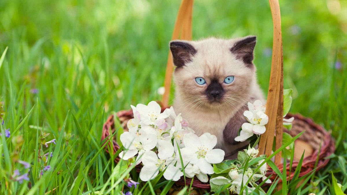 <a href="/monicasloves/">Monica Cates</a> <a href="/saravastiares/">BB Be kind 💕</a> <a href="/patdefranchis/">Patricia De Franchis</a> <a href="/dyakomard/">Jan Kurdman</a> @Ginaoben <a href="/ramosrebecca11/">Ꭱebecca💞</a> <a href="/EMSY2015/">Emad~</a> <a href="/Elsie_geselsie/">Elsie</a>