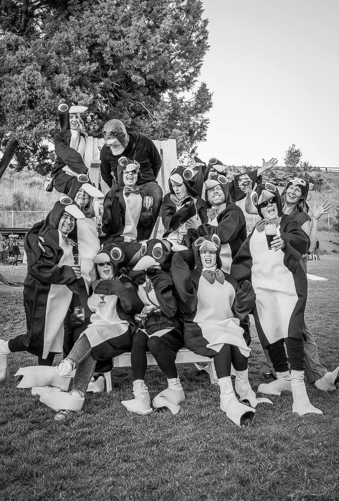 HKamm1's tweet photo. A cuddle of penguins https://t.co/4fYTTAvJim