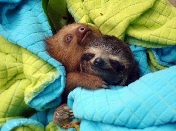AprilVixxi's tweet photo. I feel we all really need something sweet &amp; uplifting on our timelines &amp; in our lives today. Here's some LOVE. ♡ :') https://t.co/Bz5xU1oIUO