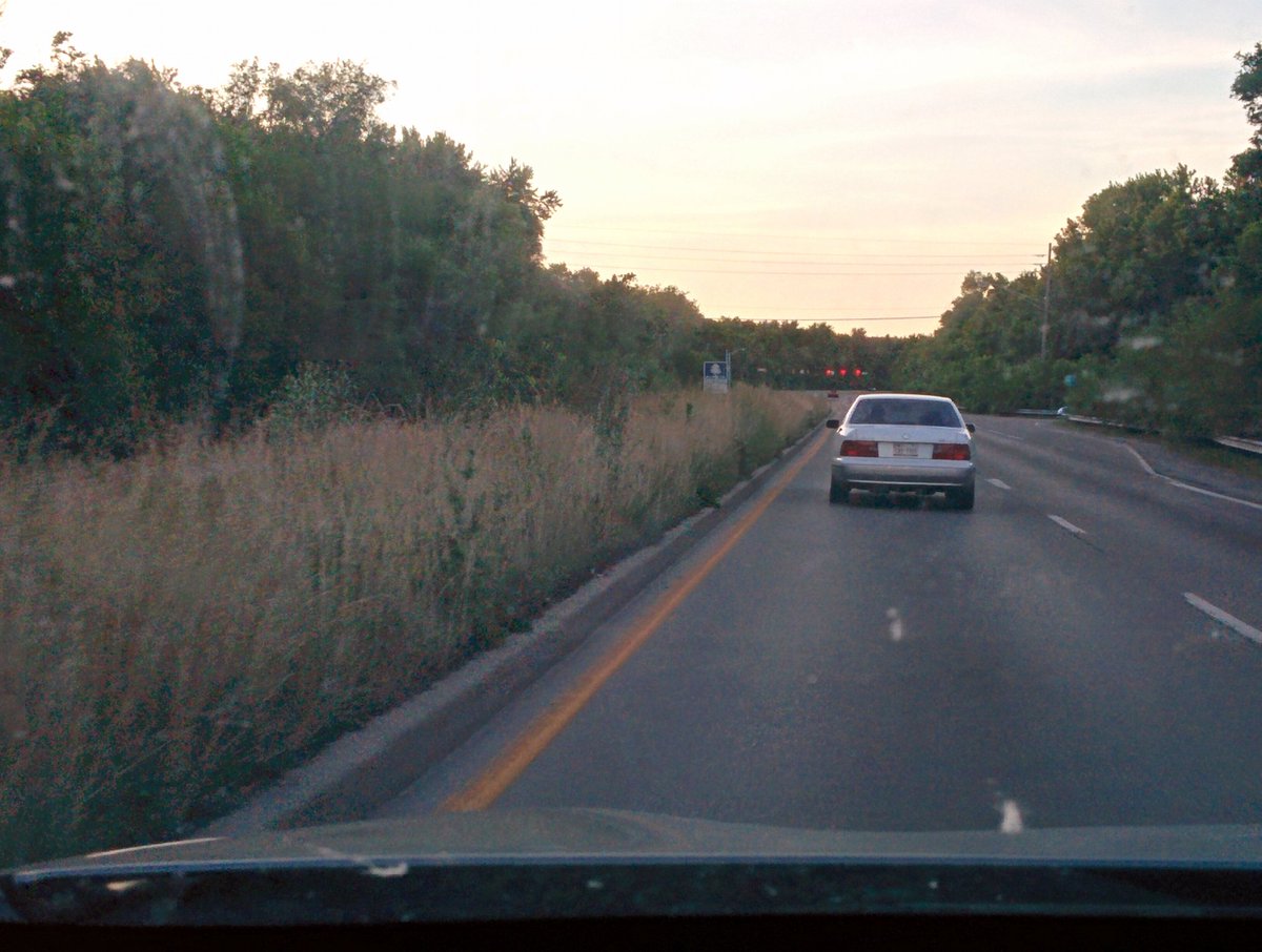 Yo <a href="/IndyDPW/">Indy Department of Public Works</a>, you're gonna need a rainforest guide and a machete to navigate this median on Keystone soon!