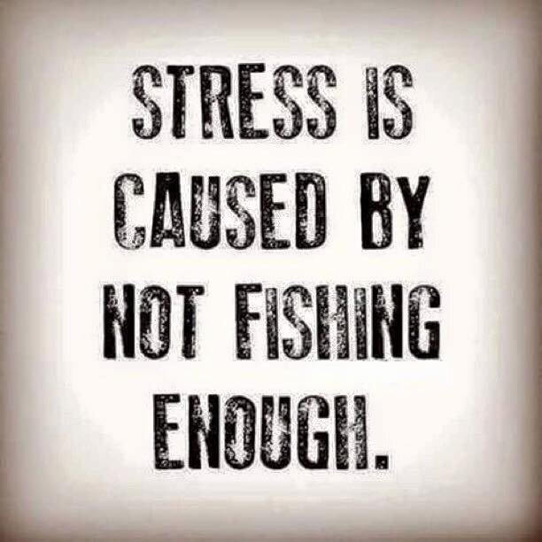 Deerhuntingprob's tweet photo. Yep! https://t.co/EFZa68eAPt
