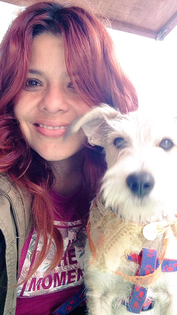 DraKitsch's tweet photo. Amor a mis peques #Bruno #Luna #Kevin #EsterilizaciónAnimal https://t.co/GJCzMqD3FR
