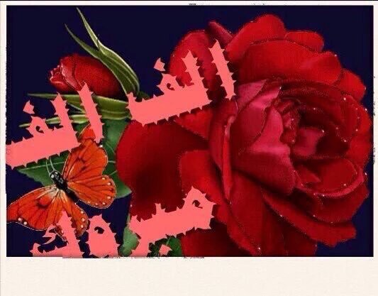 #الهوى_شرقي_16K_متابع✨

#ألف_مبروك_فالك_100K✨

#تستاهل_كل_خير ✨

#حساب_مميز_يستحق_المتابعه✨

👇🏻👇🏻👇🏻👇🏻
🌸<a href="/m_no77/">#الهوى_شرقي 🇸🇦</a>🌸