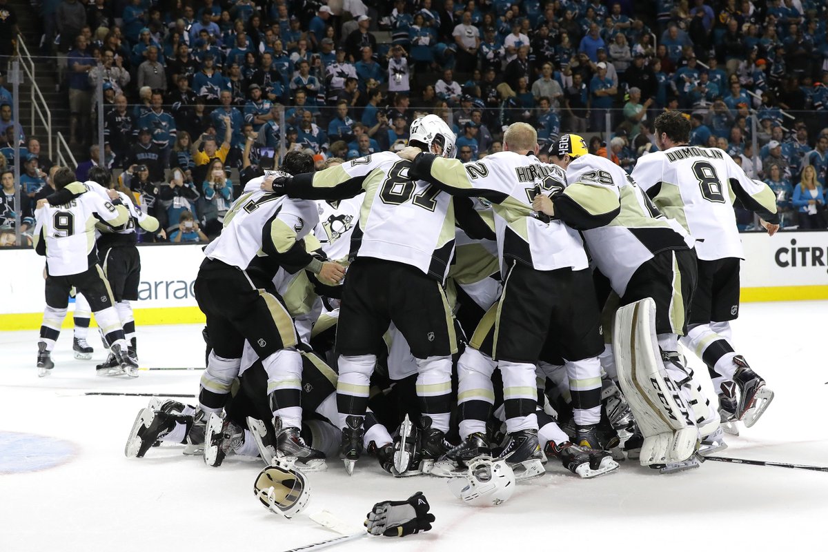 NHL's tweet photo. The best feeling in the world. #StanleyCup https://t.co/zHum3hV9wl