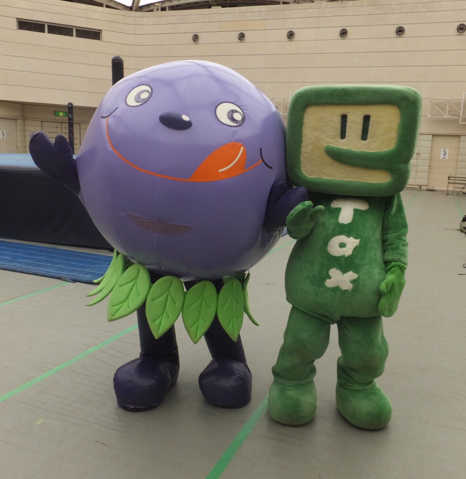 توییتر たたた در توییتر ぶるべーとイータ君 小平市のゆるキャラぶるべー 小平市は日本のブルーベリー栽培発祥の地らしい 国税電子申告納税システム E Tax のイメージキャラクターのイータ君 ステージオンリング Iceribbon はっぴぃかめら T Co Yio3avsed1