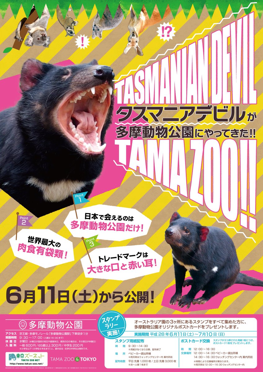 Twitter 上的 多摩動物公園 公式 多摩動物公園 開園しております 今日は 朝から雨です 昨日 1958年の開園以来 累計来園数7 000万人を達成しました ぜひ 引き続き御来園のほどよろしくお願いいたします タスマニアデビルたち お待ちしております 調 Twitter 上的 多摩動物公園 公式 多摩動物公園 開園しております 今日は 朝から雨です 昨日 1958年の開園以来 累計来園数7 000万人を達成しました ぜひ 引き続き御来園のほどよろしくお願いいたします タスマニアデビルたち お待ちしております 調