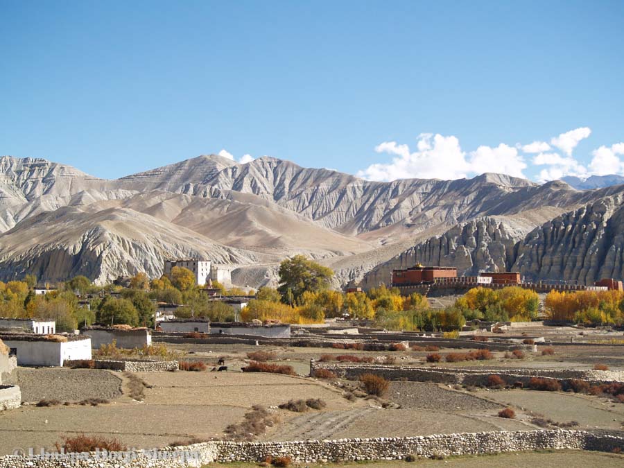basecampadven's tweet photo. #Charang, #UpperMustang, #Nepal. Exquisite, Picturesque, Peaceful &amp; Beautiful. #VisitNepal. https://t.co/jXUPRWiSG4 https://t.co/34bRUStjh9