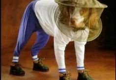 paddypower's tweet photo. LIKE for Joe Hart as England's number one. RT for this dog in a beekeeper suit. #ENG #ISL https://t.co/mDnOmHtcuR