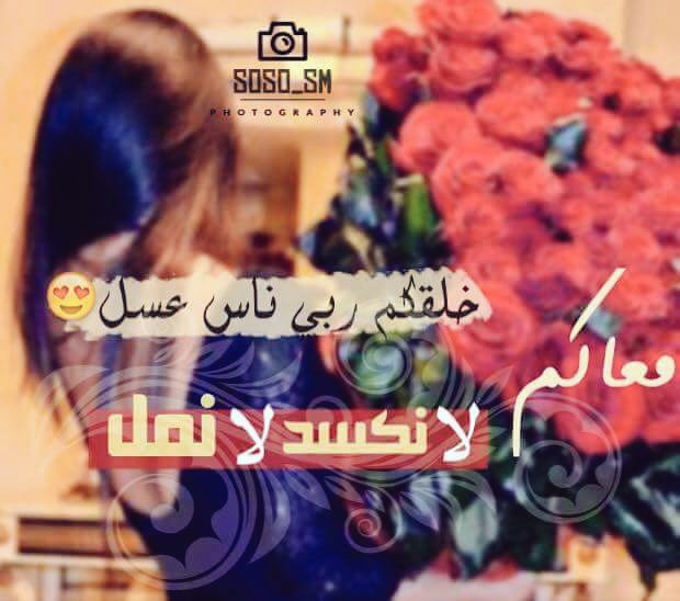Arwe (@arwe26800650) on Twitter photo 