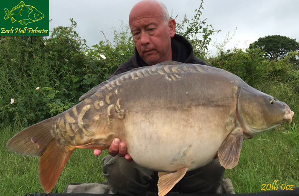 EarlsHallFish's tweet photo. A selection of fish caught from our Top Lake over the last few weeks... caught using @CW_Baits V12 freezer boilies https://t.co/DRybLUNSv9