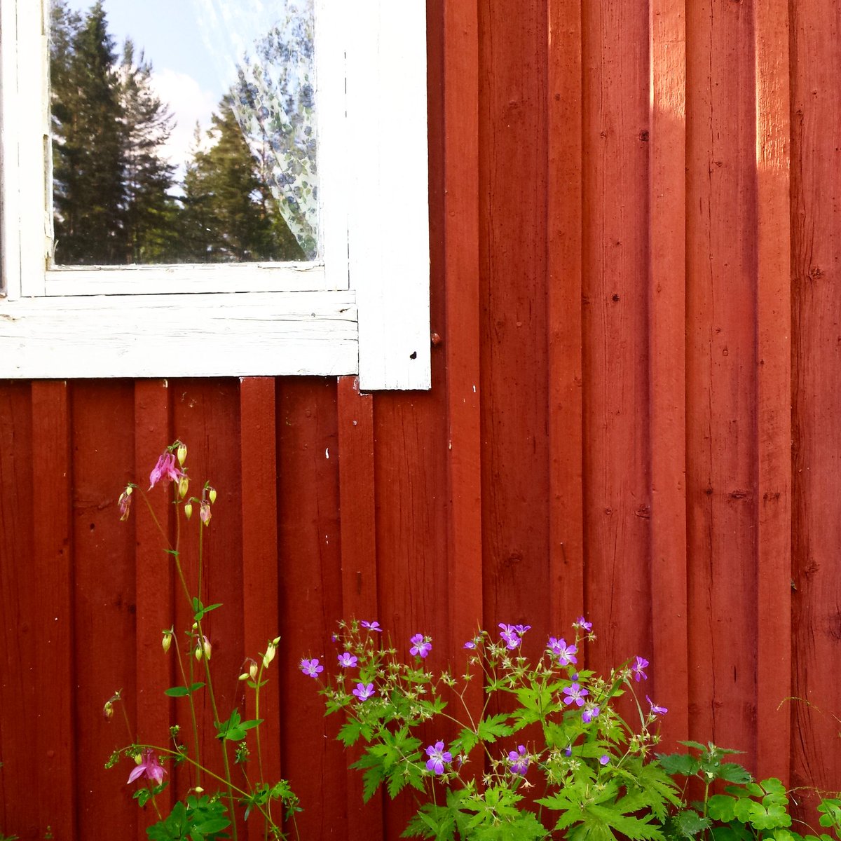 JanOtter2's tweet photo. Back in #Edsele #ångermanland https://t.co/FVj8PpX3NA