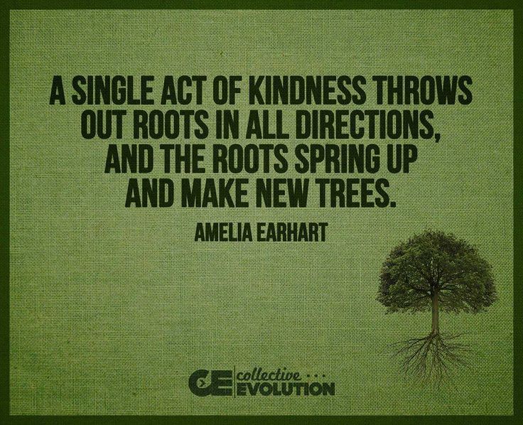 Let's get some trees growin'! #kindness #roots #mondaze #trees