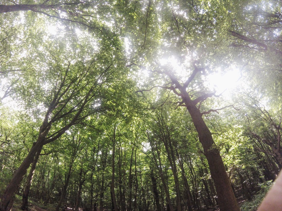 FSTS_official's tweet image. Bexley Woods in London