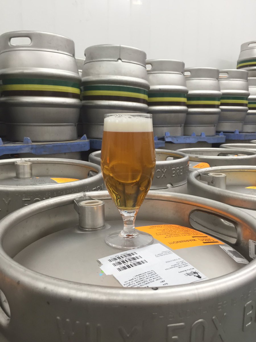 WilyFoxBrewery's tweet photo. Look at this beauty, clear with a lovely head...summer in a glass! 🍺☀️#molten gold #ABV4.3% #summer in a glass https://t.co/9hvJhsBN8e
