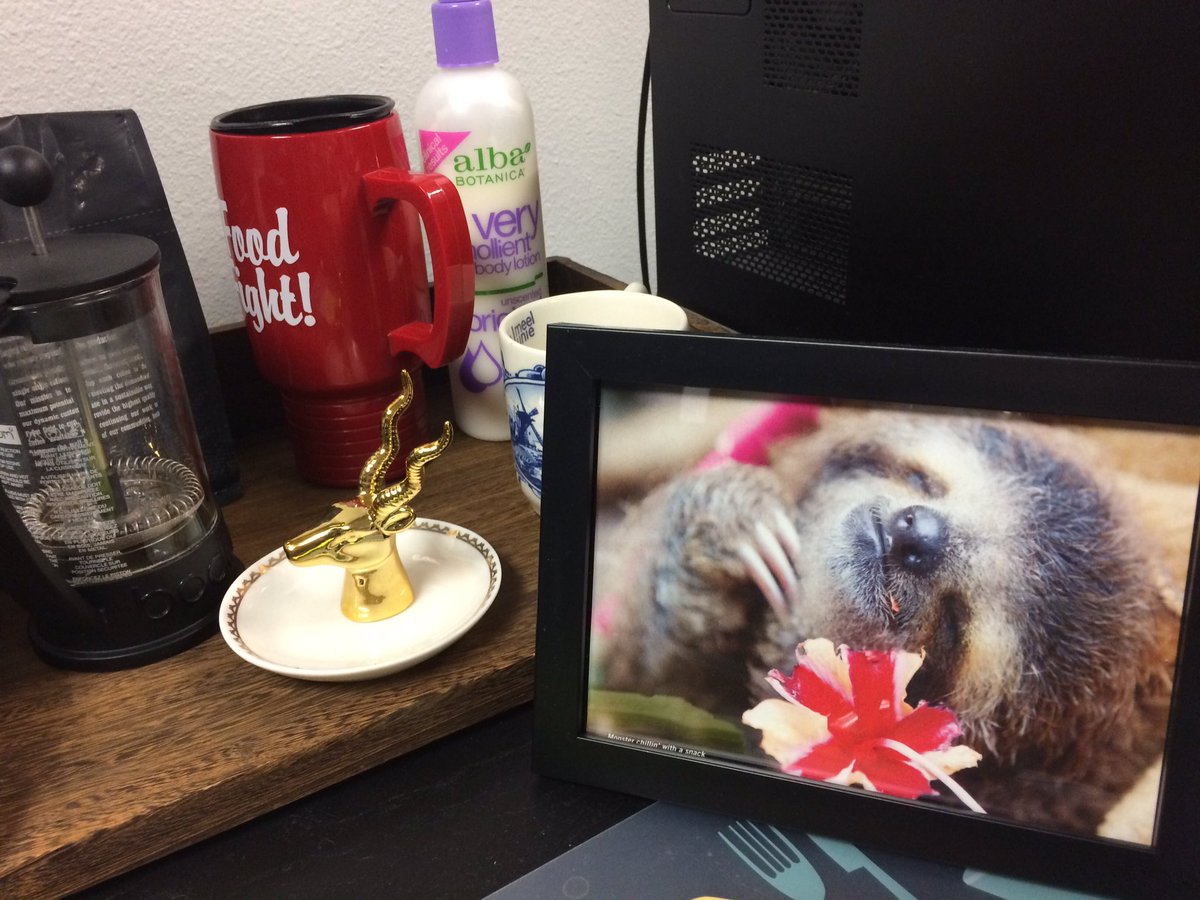 vegspice's tweet photo. Thank you @bust_magazine for the wonderful new addition to my desk, aka my #zensloth https://t.co/ONAfrDsfnq
