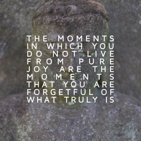 Bree Melanson tweet media