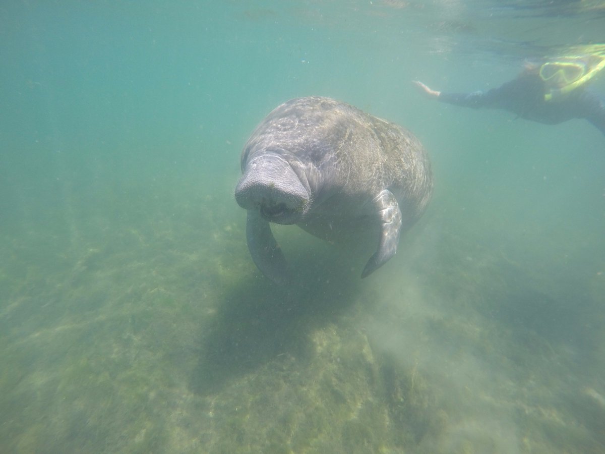 GC Expeditions tweet media