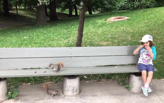 1001 способ удаления зубов. Отец удалил молочный зуб
своей дочери с помощью дикой белки, нитки и орехового печенья.