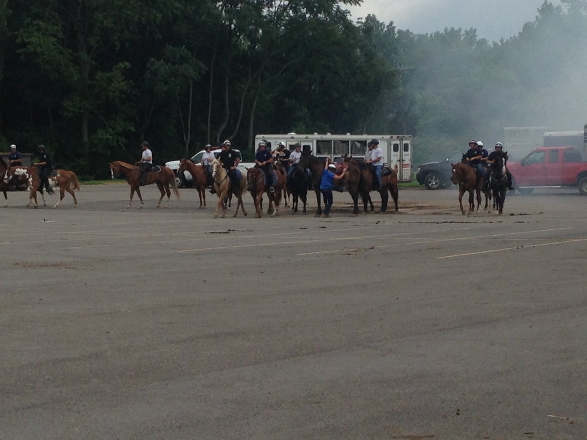 Columbus Ohio Police On Twitter See Cpd S Horses Train 4