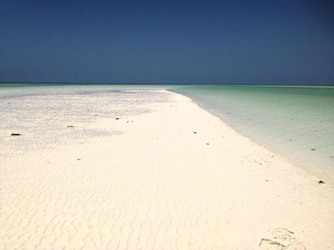JacarandaBeachR's tweet photo. Getting ready for the opening day.. We are waiting for you from 21st July!!!!
@MagicalKenya #TembeaKenya #holiday https://t.co/jwv6spZ7lQ