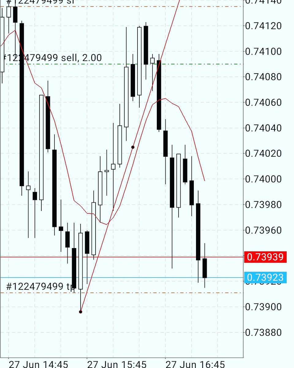 Mr forex trade