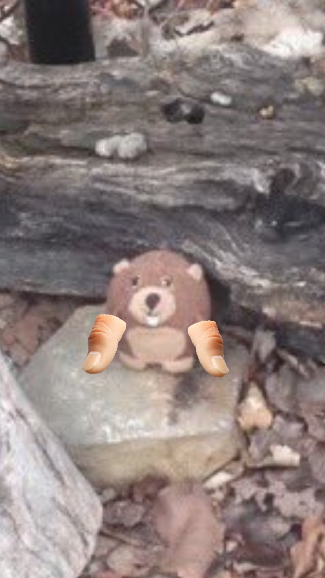 ChesterBeaver's tweet photo. @Micoo_Wapedu a wise man once said: check yourself. https://t.co/ooc0JuWY3K