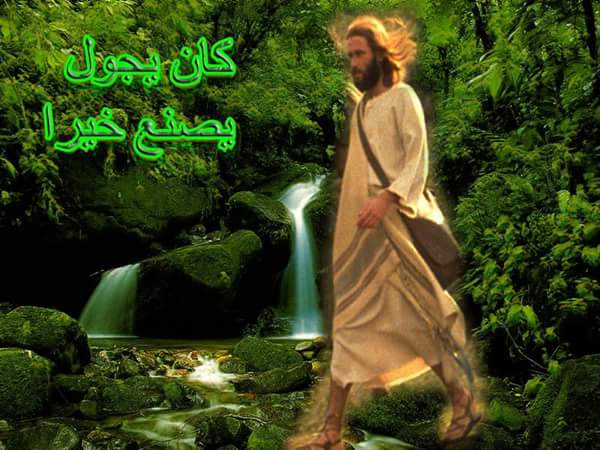 hlbeis tweet picture