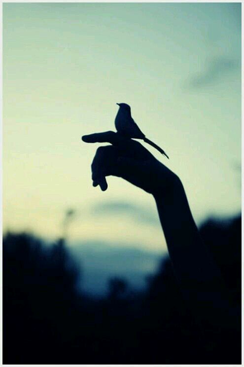 هنيئاً لنا إدراك العشر الأواخر..
 اللهم اختم لنا شهر رمضان برضوانك..
 والعتق من نيرانك..