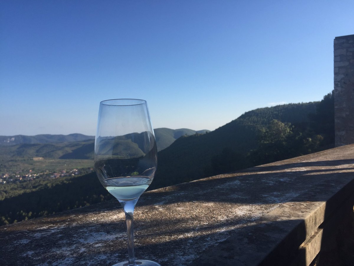 DO_original's tweet photo. Tastant xarel.los! #lacimeradelxarello https://t.co/BhJH4O74p1