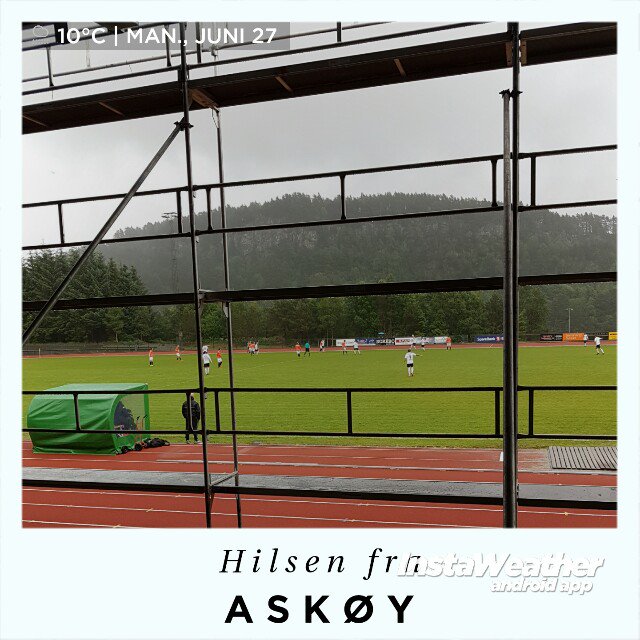 Elisabeth Hauge tweet media