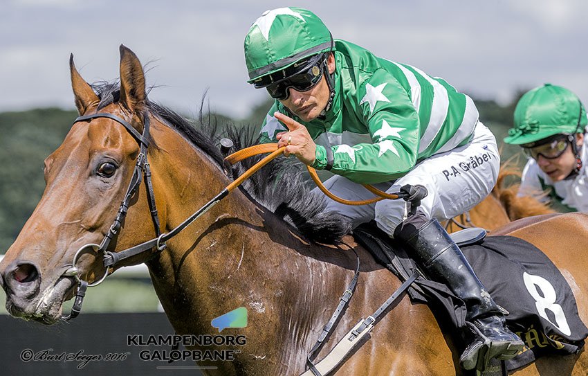 360 NorthHorseRacing tweet media